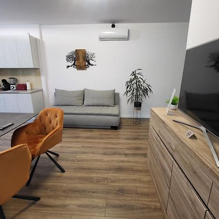 Sika Sunny Garden Apartment Arad Exterior photo